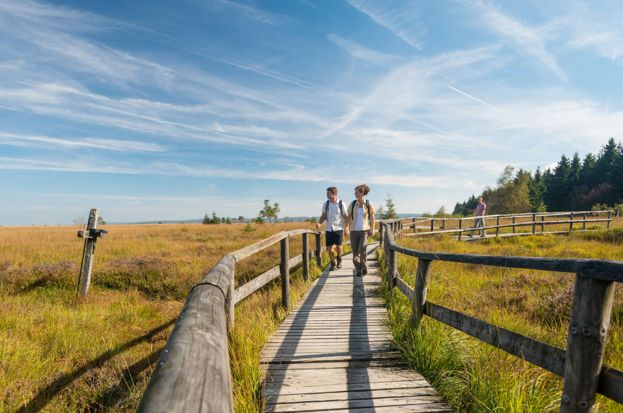 Parc Naturel des Hautes-Fagnes
