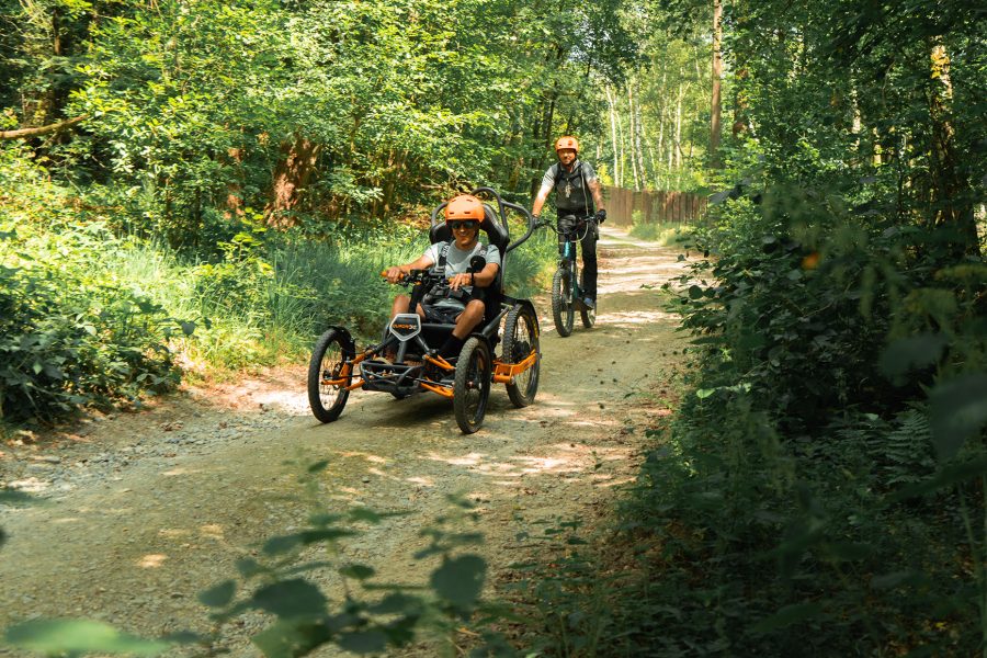 Trottinettes électriques